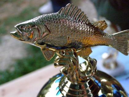 Kéthely Feeder Verseny